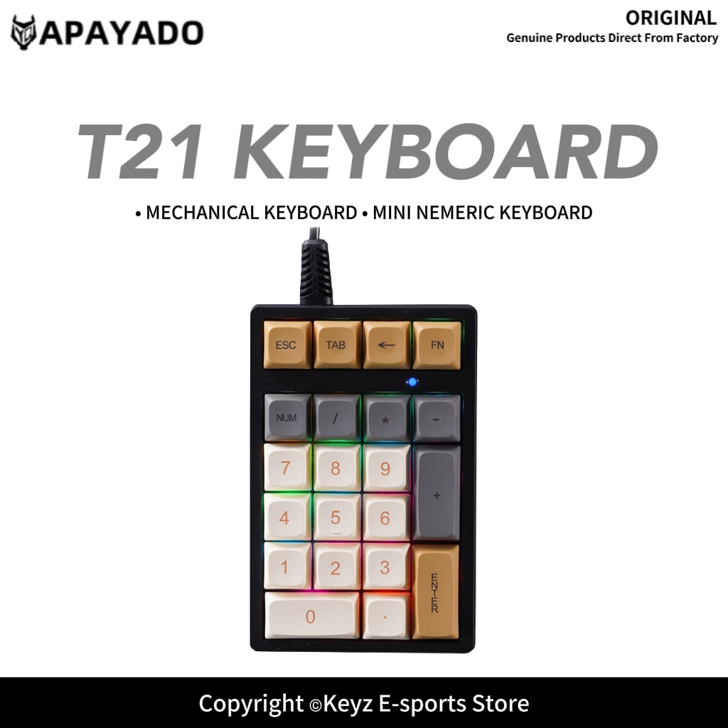 Keyboard Gaming Blue Switch - Tastierino Numerico T21 Mini con Retroilluminazione